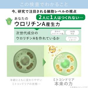 エクオール検査キット ウロリチンA 同時チェッ...の詳細画像5