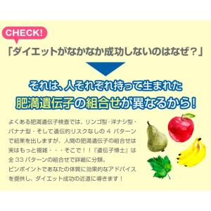 遺伝子検査キット『遺伝子博士』ダイエット&エイ...の詳細画像4