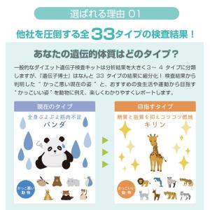 <レポートブック付き>【プレミアムアドバイスコ...の詳細画像3