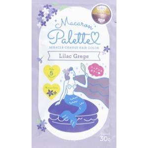 「ebs.」　マカロンパレットヘアカラー　ライラックグレージュ　30g