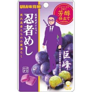 UHA味覚糖 「セット販売」「UHA味覚糖」忍者めし ベイマックス