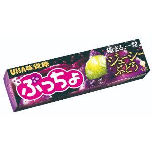 「UHA味覚糖」　ぷっちょスティック　ジューシーぶどう　10粒×10個セット　
