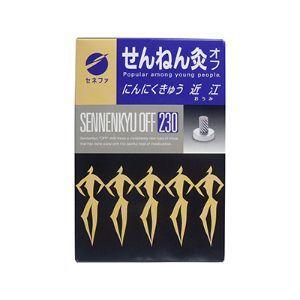 セネファ」 せんねん灸 オフ レギュラー灸 伊吹(80点入) 「健康器具