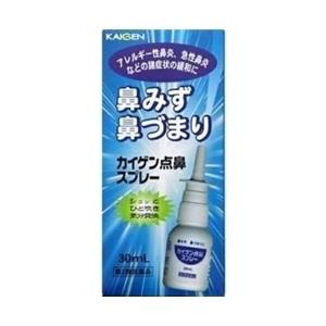 「優良配送対応」「カイゲンファーマ」 カイゲン点鼻スプレー 30mL 「第2類医薬品」｜薬のファインズファルマ