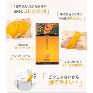 豊潤サジー スティックタイプ30ml×10本 ...の詳細画像3