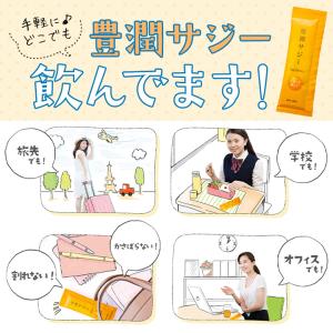 豊潤サジー スティックタイプ30ml×30本 ...の詳細画像2