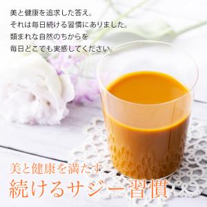 豊潤サジー スティックタイプ30ml×30本 ...の詳細画像4