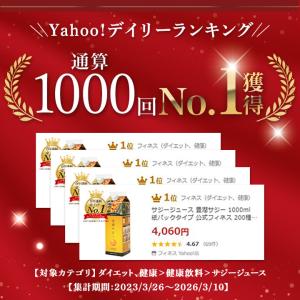 豊潤サジー 1000ml サジージュース 紙パ...の詳細画像2