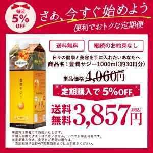豊潤サジー 1000ml サジージュース 紙パ...の詳細画像4