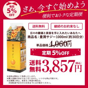 豊潤サジー 1000ml サジージュース 紙パ...の詳細画像4