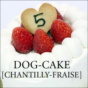 レストランの犬用ケーキ「シャンティー・フレーズ」