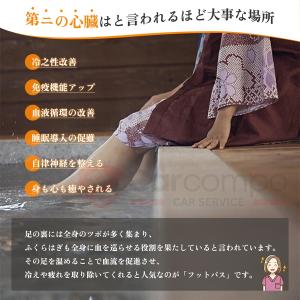 ＼新春限定!7480円→6732円+P5倍/【...の詳細画像3