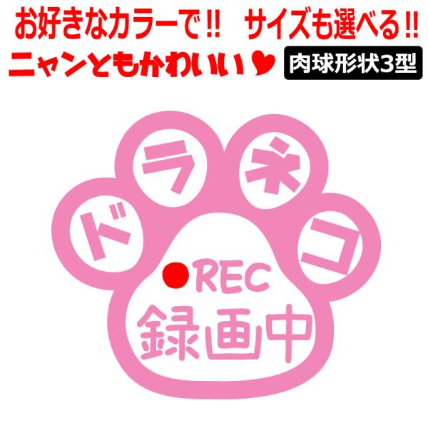 肉球 ドラネコ 録画中 ステッカー かわいい REC ドライブレコーダー 肉球３型 車 クルマ バイ...