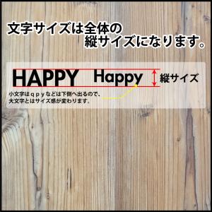 凸凹面なクーラーボックスにも貼れる! 英数字で...の詳細画像2