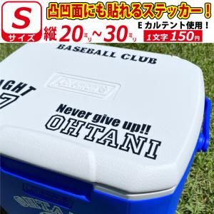 MIZUNO ミズノ 野球 軟式用 FRP製 バット ビヨンドマックス MIZUNO ミズノ 野球 軟式用 FRP製 バット ビヨンドマックス