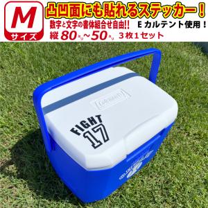 ☆送料無料☆阪神 タイガース 原口文仁 背番号 & 毛筆 応援 刺繍 ☆送料無料☆阪神 タイガース 原口文仁 背番号 & 毛筆 応援 刺繍