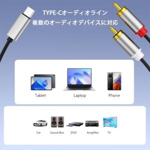 USB TYPE C to 2RCA 変換 オ...の詳細画像1