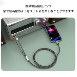 USB TYPE C to 2RCA 変換 オ...の詳細画像3