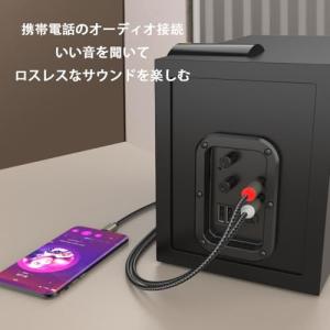 USB TYPE C to 2RCA 変換 オ...の詳細画像5