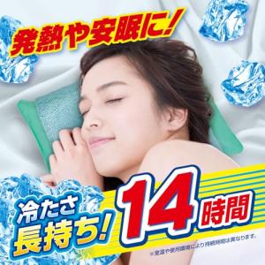 アイスノン アイスノンソフト 保冷枕の詳細画像1