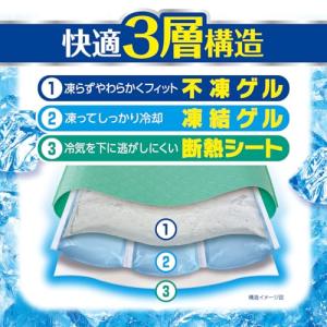 アイスノン アイスノンソフト 保冷枕の詳細画像2