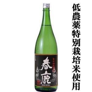 十四代 【幻の日本酒から造られた激レアの焼酎！】 秘蔵乙焼酎 米焼酎