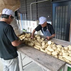【限定入荷しました!】【佐藤黒と同じ黒麹仕込み...の詳細画像1