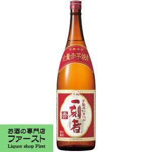 伊佐美 【プレミアム焼酎の歴史は伊佐美が元祖！激レアサイズ