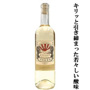 薩摩自顕流 25度 1800ml 米焼酎 錦灘酒造 メーカー直送／代引