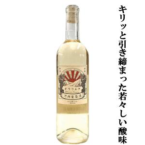 【大阪で造られる果実味豊かな国産ワイン！】 河内ワイン 金徳葡萄酒 デラウェア 白 辛口 750mlの商品画像