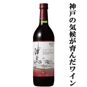 天然 琥珀 ワインキャップ(観賞用) 18金 天然 琥珀 桜柄 箔蒔絵 ダイヤモンド ピンクトルマリン