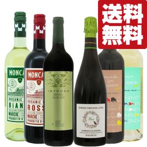 【送料無料・ワイン　飲み比べセット】　全てオーガニック(有機農法)ワイン！コスパ最高！イタリア＆スペイン産　750ml×6本セット(北海道・沖縄は送料+990円)｜first19782012