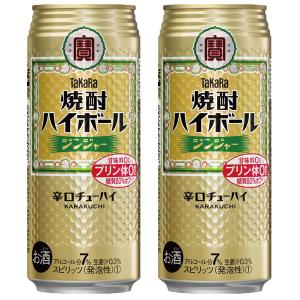 「元祖焼酎ハイボール」　宝　焼酎ハイボール　ジンジャー　7％　500ml(1ケース/24本入り)(1)○｜first19782012