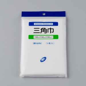 白元アース 快適ガードプロ 立体タイプ レギュラーサイズ5枚入