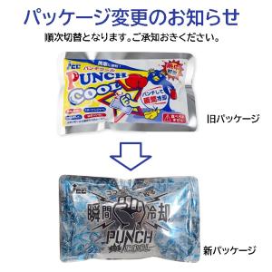 アイスジャパン パンチクール 25個セット 冷...の詳細画像4