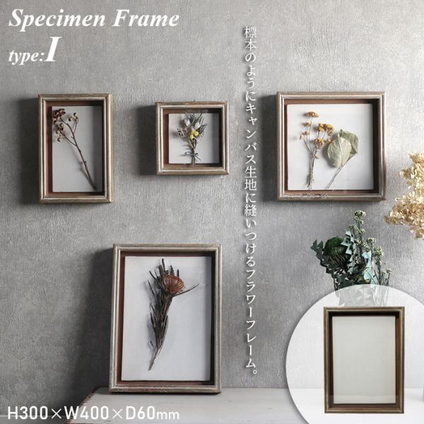 Specimen Frame スペシメンフレーム 1 写真立て フォトフレーム キャンバス生地 ma...