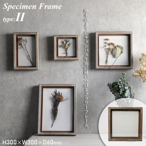 Specimen Frame スペシメンフレーム 2 写真立て フォトフレーム キャンバス生地 magnet｜firstaid