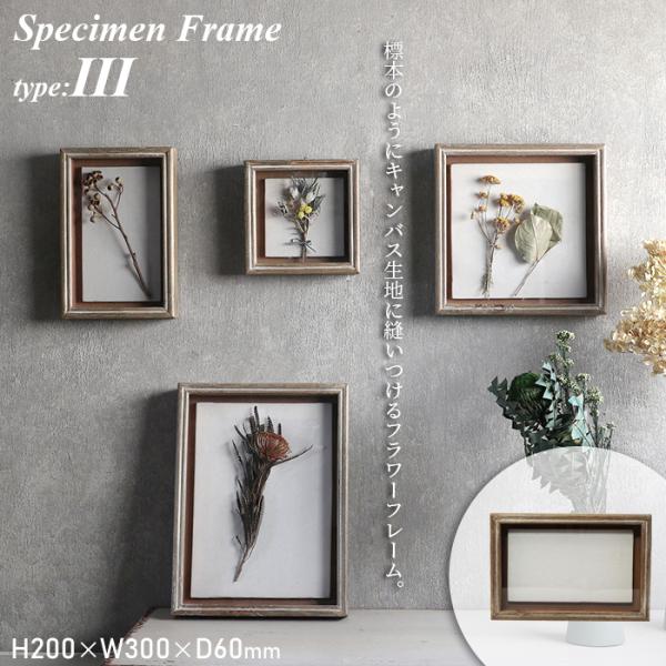 Specimen Frame スペシメンフレーム 3 写真立て フォトフレーム キャンバス生地 ma...