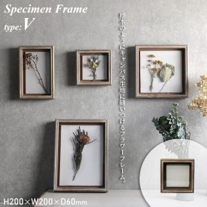 Specimen Frame スペシメンフレーム 5 写真立て フォトフレーム キャンバス生地 magnet｜firstaid