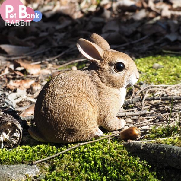 PET BANK ウサギ 貯金箱 インテリア 置き物 かわいい 動物 ペット JAZA寄付 RABB...