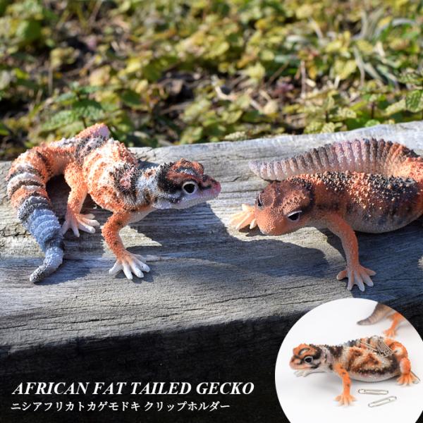 ニシアフリカトカゲモドキ FAT TAILED GECKO フィギュア マグネット ギフト magn...