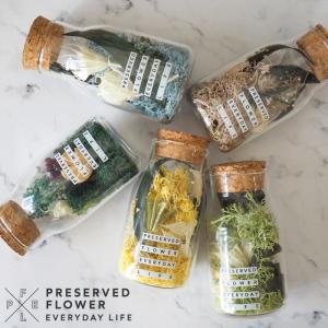 モスボトル PFEL プリザーブドフラワー プリザーブド 天然 ボトル フラワー 生花 ギフト magnet