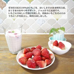 冷凍いちご 1kg 国産 イチゴ 苺 お中元 ...の詳細画像2