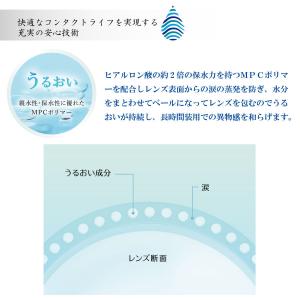 コンタクトレンズ 1day ワンデープログレス...の詳細画像2