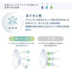 コンタクト 2ウィーク プログレス 6枚入×1...の詳細画像2