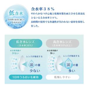 コンタクト 2ウィーク プログレス 6枚入×1...の詳細画像3