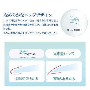 コンタクト 2ウィーク プログレス 6枚入×1...の詳細画像4
