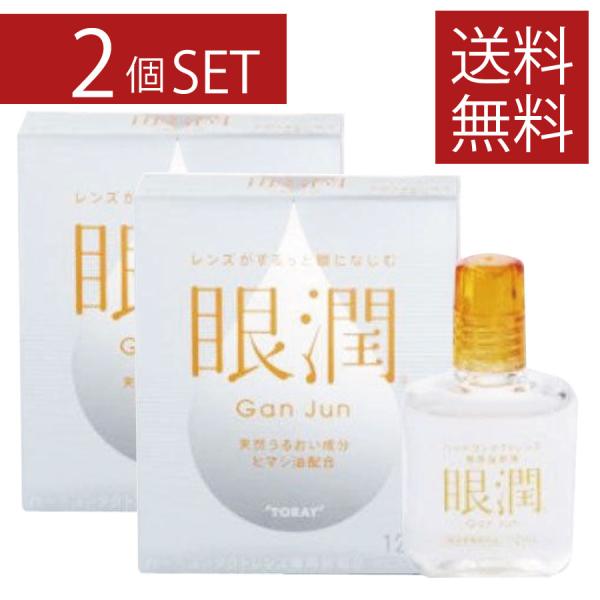 ハードレンズ用装着液 東レ 眼潤 (12ml)×2個　コンタクトケア 2本セット