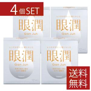 ハードレンズ用装着液 東レ 眼潤 (12ml)×4個　コンタクトケア 4本セット｜firstcontact