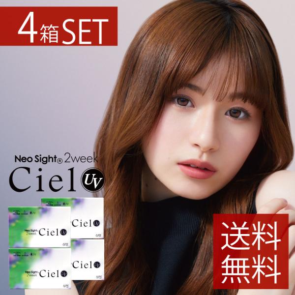 カラコン 2week アイレ ネオサイト2ウィークシエル 6枚入 ×4箱　カラコン 2week